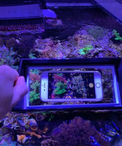 ReefMaker Reef View