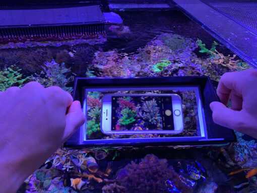 ReefMaker Reef View