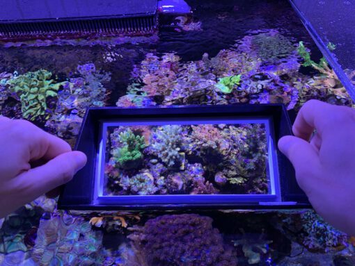 ReefMaker Reef View